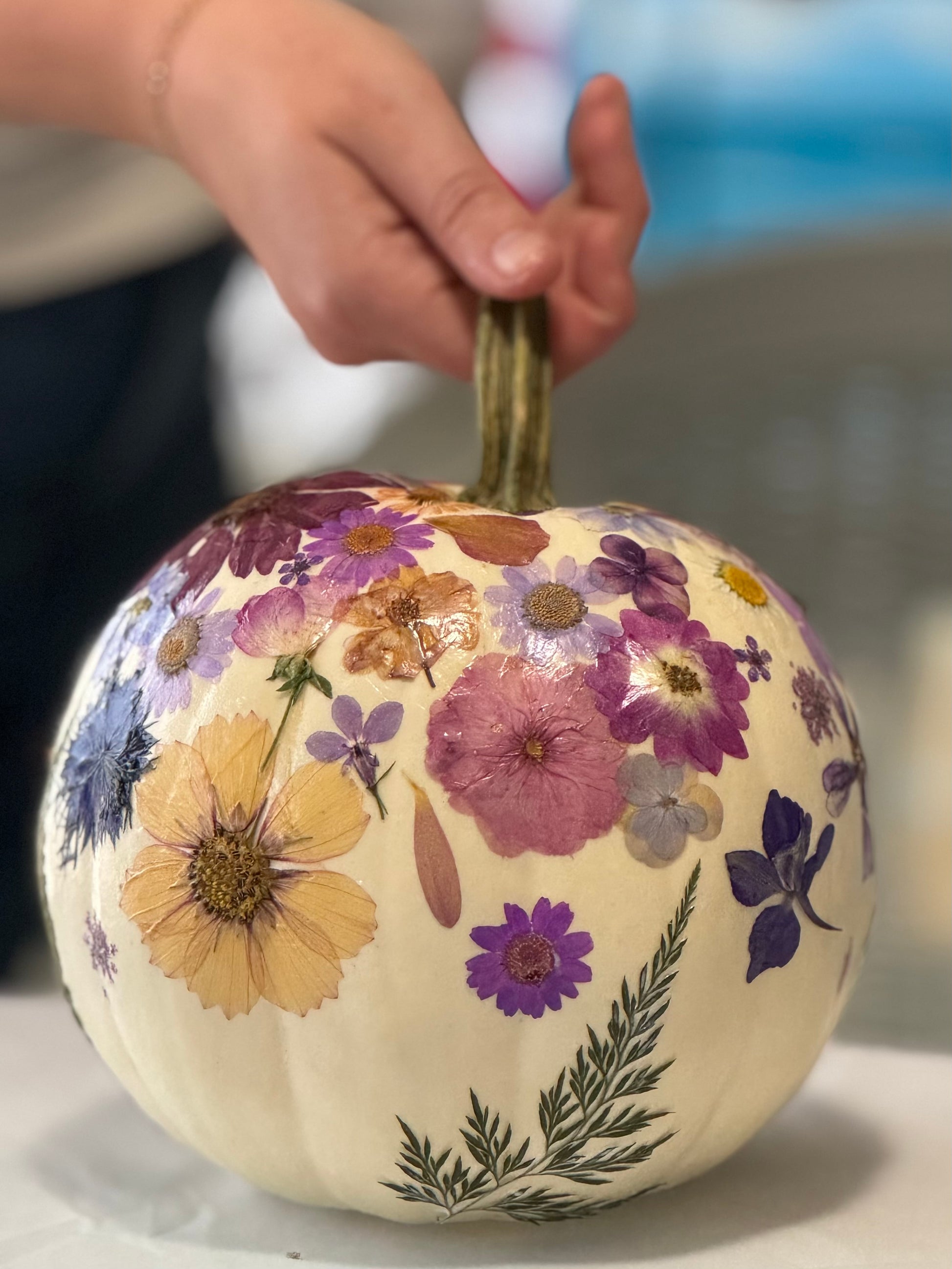 Workshop | Pressed Floral Pumpkins