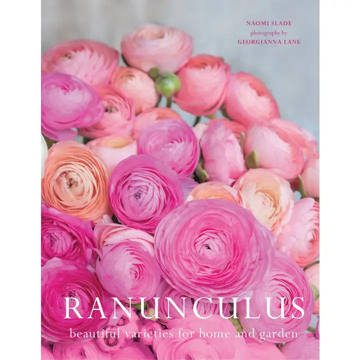 Ranunculus: Beautiful Varieties for Home & Garden