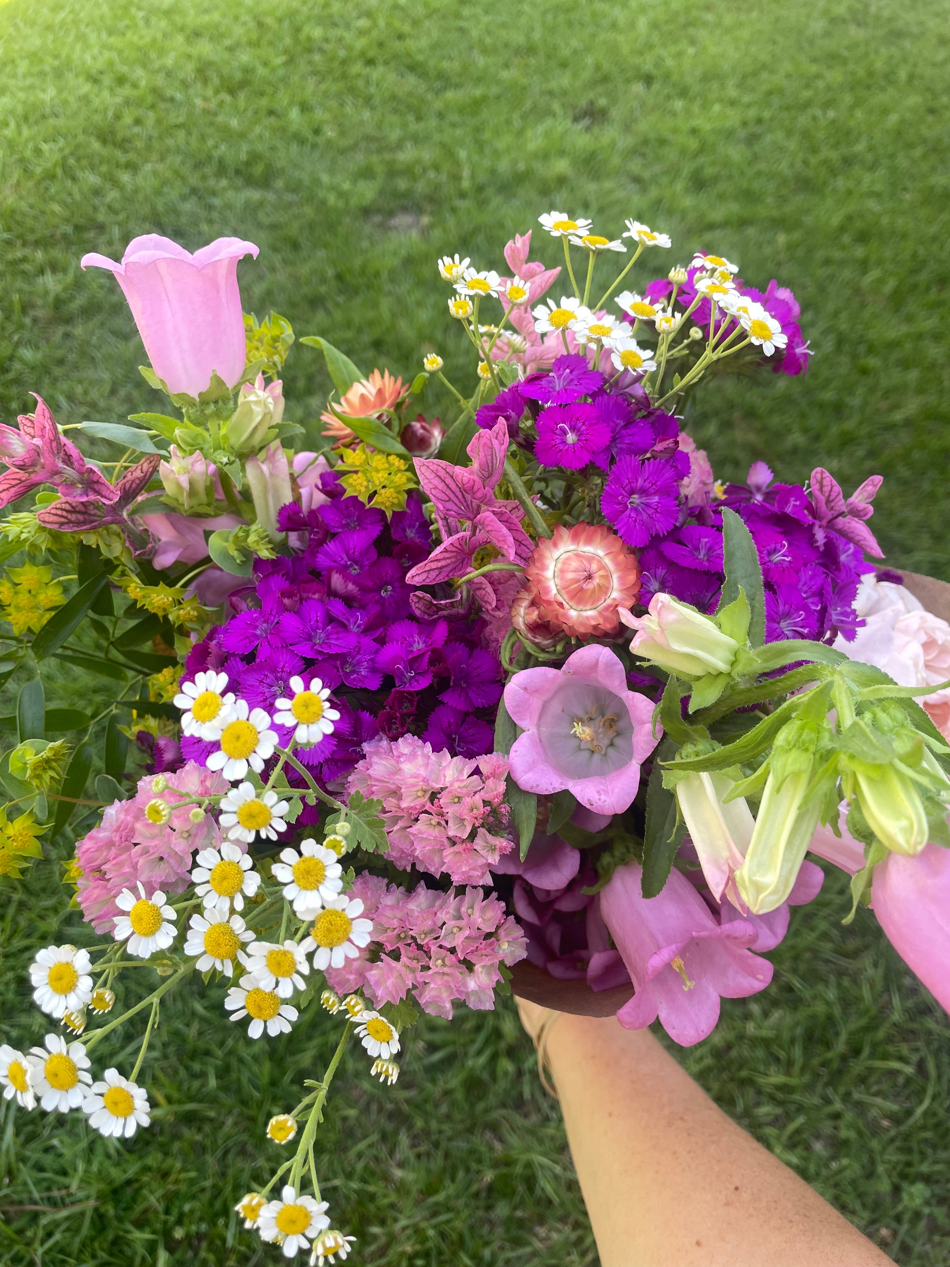 Gift Subscription (Signature Bouquet)