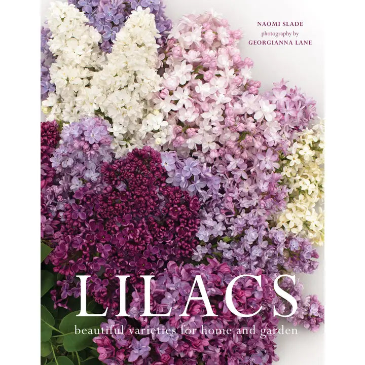Lilacs: Beautiful Varieties for Home & Garden